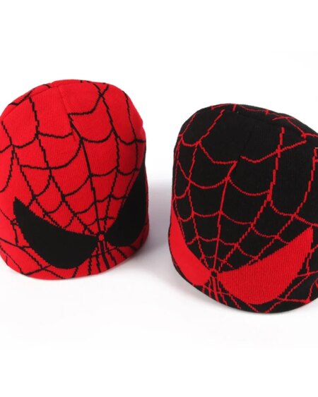 Spider Embroidered Beanies Hat