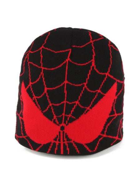 Spider Embroidered Beanies Hat