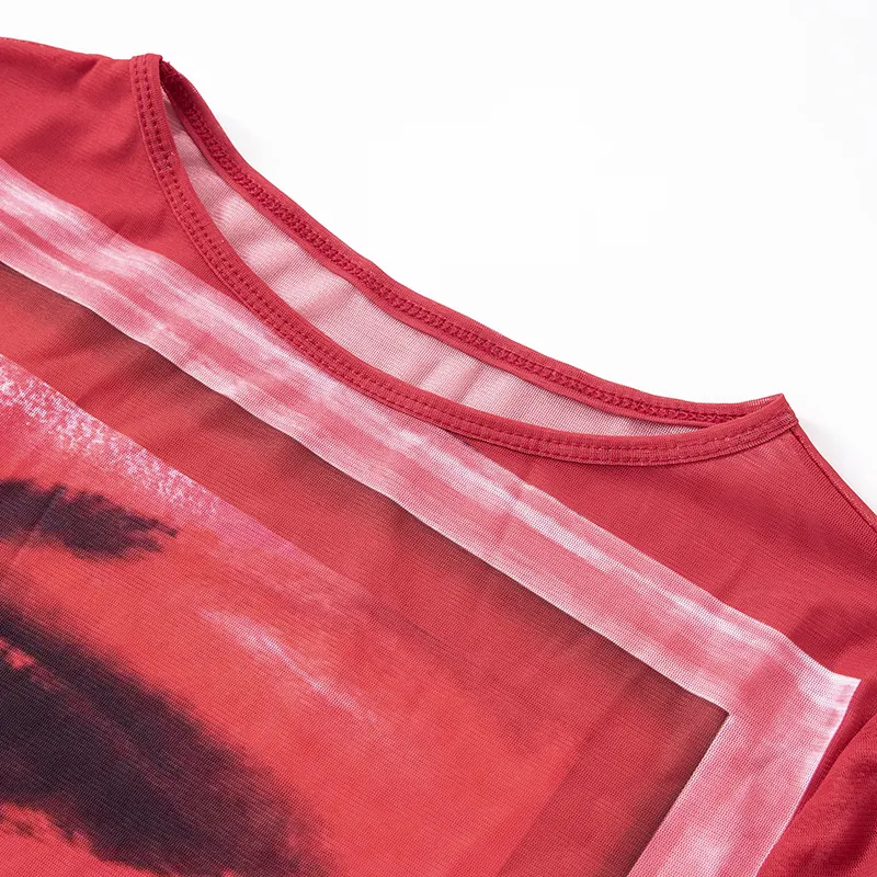 Goth Mesh Long Sleeve Top